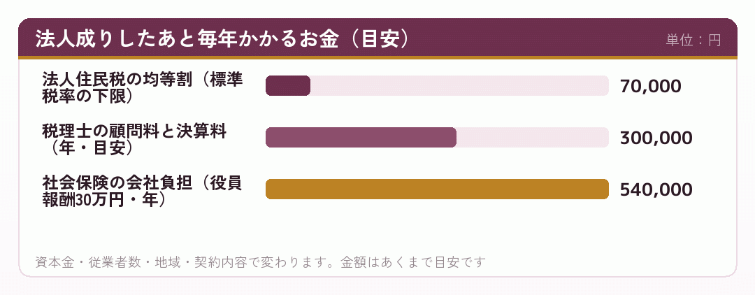 法人成りしたあと毎年かかるお金(目安)