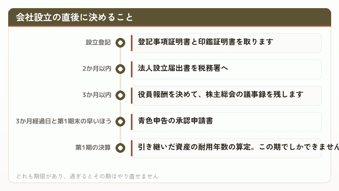 会社設立の直後に決めること